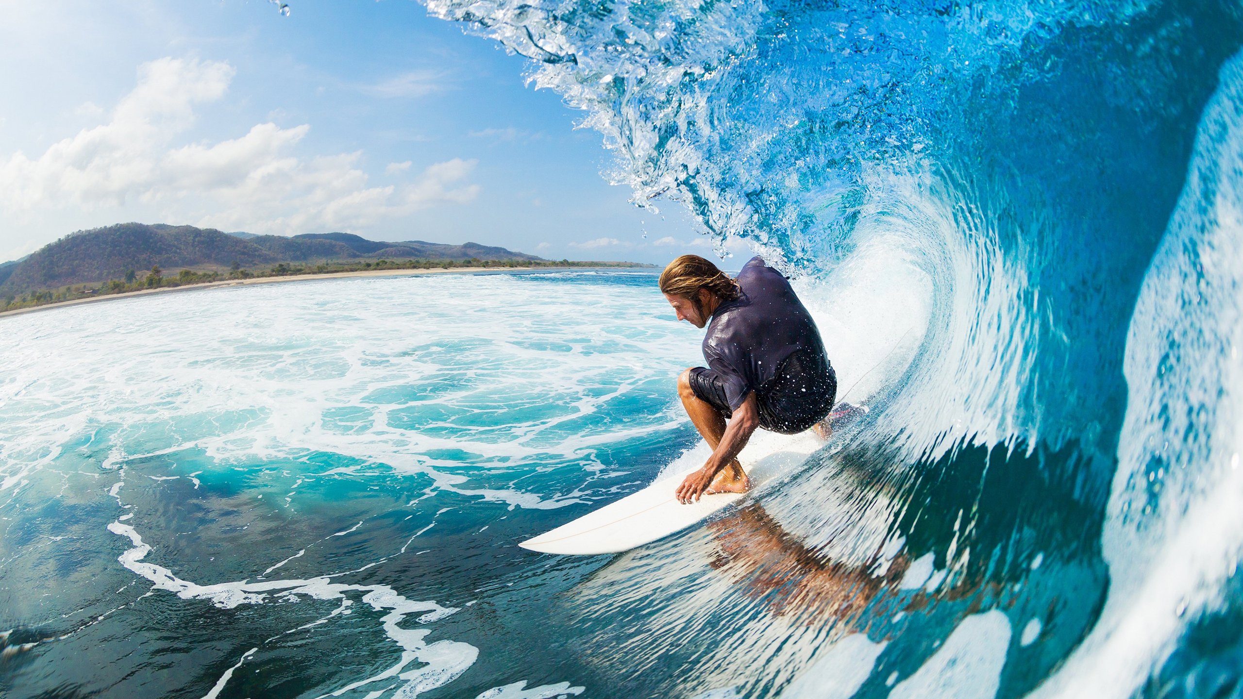 世界游泳锦标赛精彩比赛不断，世界游泳锦标赛主办方